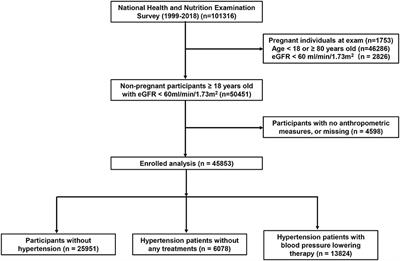 Associations between novel anthropometric measures and the prevalence of hypertension among 45,853 adults: A cross-sectional study